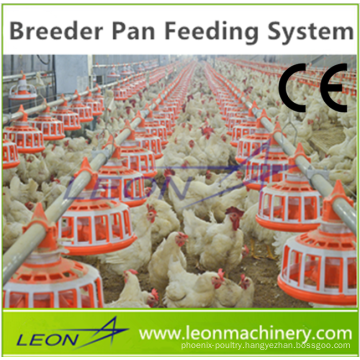 Leon Automatic Chicken Feeding poultry equipment with CE